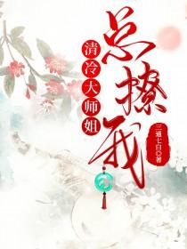 清冷大师姐总撩我晋江