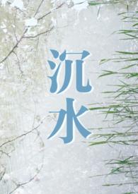 沉水是啥意思