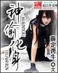 神偷化身TXT精校版