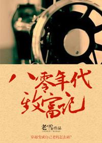 穿越八十年代致富经