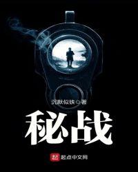 密战简介