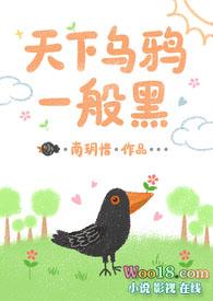 天下乌鸦一般黑猜一动物