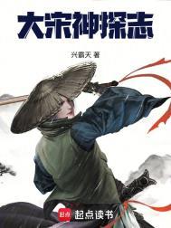 大宋女神探