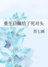 重生后嫁给了死对头 作者吾七画