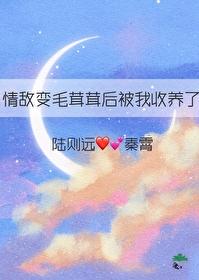 情敌变毛茸茸后被我收养了番外txt
