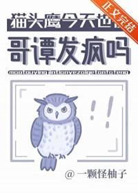 猫头鹰live