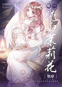 唯一纯白的茉莉花盛开在琥珀色