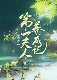 第一夫人 阅读