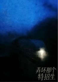 弄坏什么意思