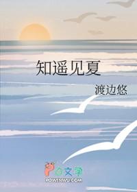 知夏遇你全文免费