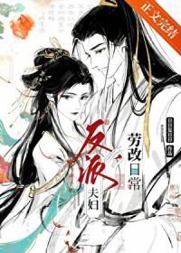 反派夫妻