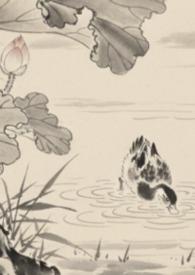 全京城都在等我掉马免费阅读