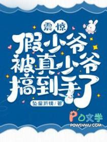 假少爷和真少爷