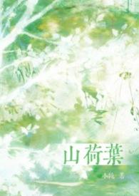 山荷叶的负面花语