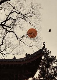 雀儿药粥免费阅读ml