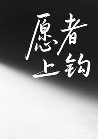 愿者上钩g全文阅读