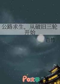 公路求生从破旧三轮车开始