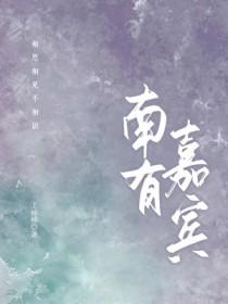南有嘉宾txt