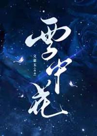 雪中花歌词歌曲
