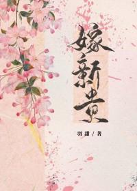 嫁新贵羽甜笔趣阁
