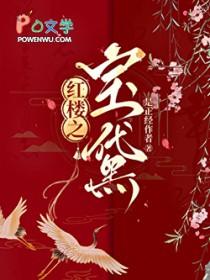 红楼之黛玉空间