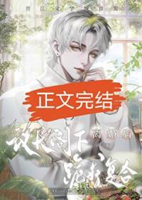 联邦参议院和州长谁大