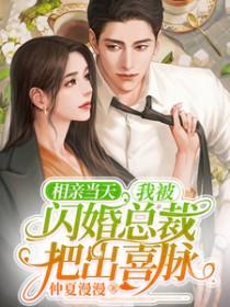 相亲闪婚系