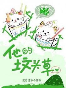 爬满了野蒺藜这句话的作用是什么