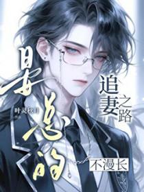 晏总追妻娶一赠一