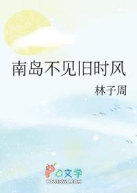 南岛不见旧时风免费阅读