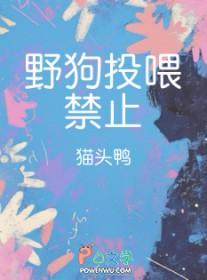 野狗怎么喂小野狗的