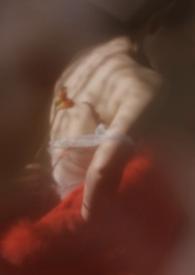 狐狸软件是什么软件