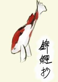 锦鲤抄鞠婧祎歌曲