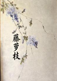 藤萝枝的全部