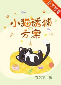 小猫诱捕方案设计