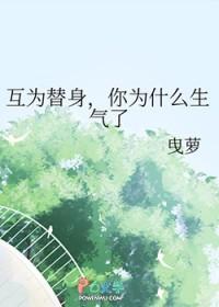 互为替身 晋江