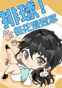 综漫排球排球