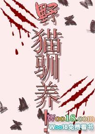野猫驯养 魏承泽全文免费阅读笔趣阁
