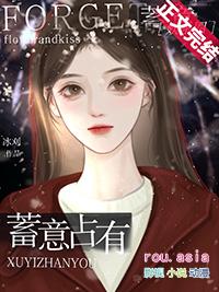 蓄意占有 电视剧